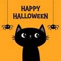 Happy Halloween. Black cat kitten. Two hanging spider. Bones text font. Bone letter type. Cute cartoon kawaii character. Pet baby Royalty Free Stock Photo