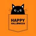 Happy Halloween. Black cat in the pocket. Cute cartoon animals. Kitten kitty character. Dash line. Pet animal collection. Orange a Royalty Free Stock Photo