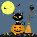 Happy Halloween. A black cat is sitting in a pumpkin. Near the broom, owl, spider. Full moon at night, bats, leaves and Royalty Free Stock Photo