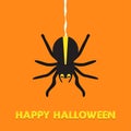 Happy Halloween. Black spider. Cute cartoon character. Flat design