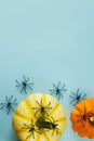 Happy Halloween! Black spiders decorations on pumpkins on blue background. Halloween flat lay. Card template with space for text.