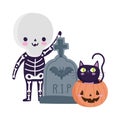 Happy halloween, boy skeleton costume tombstone and cat inside pumpkin, trick or treat party celebration Royalty Free Stock Photo