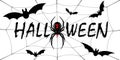 Happy Halloween card. Drip text, spider, web isolated white background. Greeting design banner, Halloween holiday Royalty Free Stock Photo