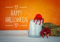 Happy Halloween card idea, Halloween pumpkin and red devil with wool spider on dark background Royalty Free Stock Photo