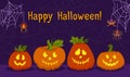 Halloween card pumpkin face cobweb spider vector Royalty Free Stock Photo