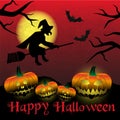 Happy halloween carved pumpkins and scary witch background eps10 Royalty Free Stock Photo