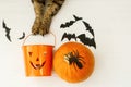 Happy Halloween! Cat paws holding Jack o lantern candy bucket on white background with pumpkin, bats, celebrating halloween at Royalty Free Stock Photo