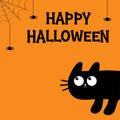 Happy Halloween. Cat peeking around the corner. Cute kawaii cartoon baby pet. Bones text font. Spider web. Black kitten head face Royalty Free Stock Photo