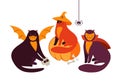 Happy Halloween cats in costume party. Flat vector illustration of a group of funny cats monsters along with pumpkins, skulls, Royalty Free Stock Photo