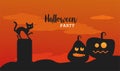 Happy halloween celebration with black cat and pumpkins scene Royalty Free Stock Photo