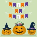 Happy Halloween. In the center is a pumpkin with sweets and candies. Two pumpkins in the hats of a witch. Decoration of