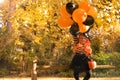 Happy Halloween. Child with big balloons, witch costume in autumn park. Soft changing focus on the main subject. Sun
