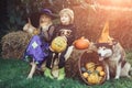 Happy Halloween Children girl and boy sit on hay or straw on meadow in autumn. Halloween children enjoying in the autumn