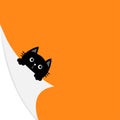 Happy Halloween. Curled paper corner. Black cat face holding fold page corners. Paw print. Cute cartoon kawaii funny baby animal