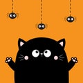 Happy Halloween. Cute cat face looking at hanging spider. Boo. Cartoon character. Kawaii baby animal. Notebook cover, tshirt,