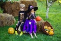 Happy Halloween Cute children daughter and son making funny faces with a pumpkin. The concept of child friendship, peace Royalty Free Stock Photo