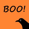 Happy Halloween. Cute crow. Vector illustration, greeting card. Black and orange colors. raven Royalty Free Stock Photo