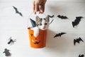 Happy Halloween. Cute kitten sitting in halloween trick or treat bucket on white background with black bats. Hand holding jack o` Royalty Free Stock Photo