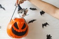 Happy Halloween. Cute kitten in witch hat sitting in halloween trick or treat bucket on white background with black bats. Hand Royalty Free Stock Photo