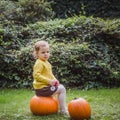 Happy Halloween. Cute little girl is sitting on a pumpkin and holding an apple in her hand