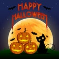 Happy Halloween Day , Bat and spider on text , Cute pumpkin smile spooky scary but cute and black cat party under moon , Royalty Free Stock Photo