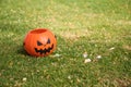 Happy halloween. Detail of some candies and sweets with an orange pumpkin on the lawn of the park on the day of the halloween