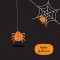 Happy Halloween Fluffy Spiders Cartoon Character . Funny Halloween invitation with cute spiders and spider web greeting card