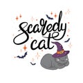 Happy Halloween gift card with a black cat scared of white ghost and hissing at it, with fur hairs standing on end Royalty Free Stock Photo