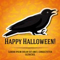 Happy halloween greeting card with black raven