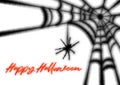 Happy Halloween greeting card. Postcard with a black textured fluffy web and a spider coming down.