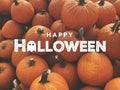 Happy Halloween Holiday Text Graphic Design Illustration Over Orange Fall Pumpkins Harvest Background