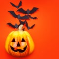 Happy Halloween. Jack lantern and a Lots of bats Royalty Free Stock Photo