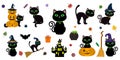 Happy Halloween. Mega set of black cat with green eyes in different poses with a pumpkin, on a broomstick, in a hat of a witch and Royalty Free Stock Photo