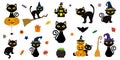 Happy Halloween. Mega set of black cat with yellow eyes in different poses with a pumpkin, on a broomstick, in a hat of a witch an Royalty Free Stock Photo