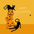 Happy Halloween party. Black cats and stacked pumpkins, with spiders Royalty Free Stock Photo