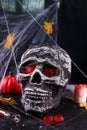 Happy Halloween Party Table with spider web and skull Royalty Free Stock Photo