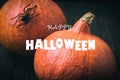 Happy Halloween poster, pumpkins and spider on dark background