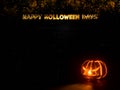 Happy Halloween  pumpkin head jack o`lantern 3d Royalty Free Stock Photo
