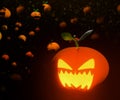 Happy Halloween  pumpkin head jack o`lantern 3d Royalty Free Stock Photo