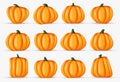 Happy halloween pumpkin realistic decoration element isolated on