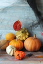 Happy Halloween, pumpkins, Jack lantern with a burning candle, autumn leaves and mystical decorations Royalty Free Stock Photo