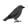 Happy Halloween. Raven bird sitting - vector illustration, logo, emblem black and white, one color.