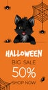 Happy Halloween sale banner or flyer. Cute black kitten with spiders and spiderweb. Royalty Free Stock Photo