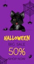 Happy Halloween sale banner or flyer. Cute black kitten with spiders and spiderweb. Royalty Free Stock Photo