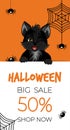 Happy Halloween sale banner or flyer. Cute black kitten with spiders and spiderweb. Royalty Free Stock Photo