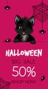 Happy Halloween sale banner or flyer. Cute black kitten with spiders and spiderweb. Royalty Free Stock Photo