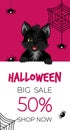 Happy Halloween sale banner or flyer. Cute black kitten with spiders and spiderweb. Royalty Free Stock Photo