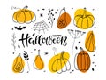 Happy Halloween set. Hand drawn autumn vector collection.Halloween holidays sketch design. Pumpkin, black dry plants