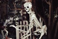 Happy Halloween Skeleton. Helloween for house decor.