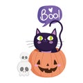 Happy halloween, skulls black cat inside pumpkin, trick or treat party celebration Royalty Free Stock Photo